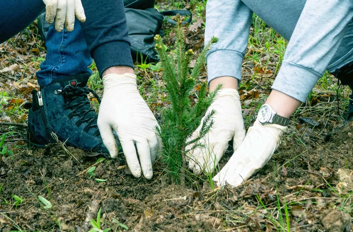 FIS i Ambyenta ponovo dobitnici Best Buy Award AMKO